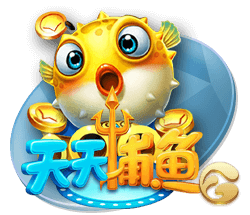 星空足球入口在线版