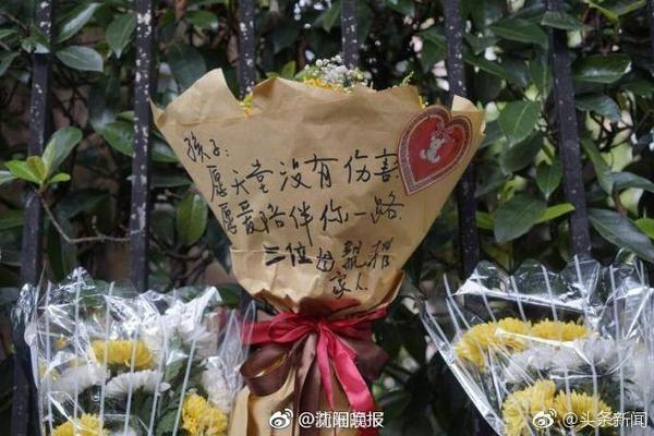星空足球入口电脑面版